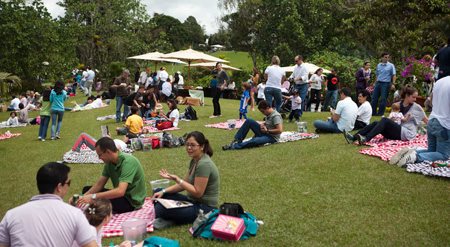 Euro picnic